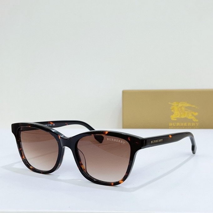 Burberry Sunglasses ID:20230605-70
